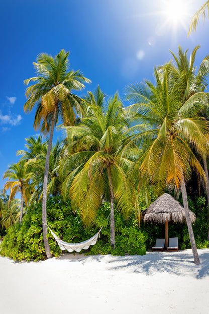 Hammock on Palm Trees & Hut Paradise Beach Glass Framed Wall Art, Ready to Hang Quality Print