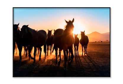 Horses Walking & Sunset Sky View Home Decor Premium Quality Poster Print Choose Your Sizes