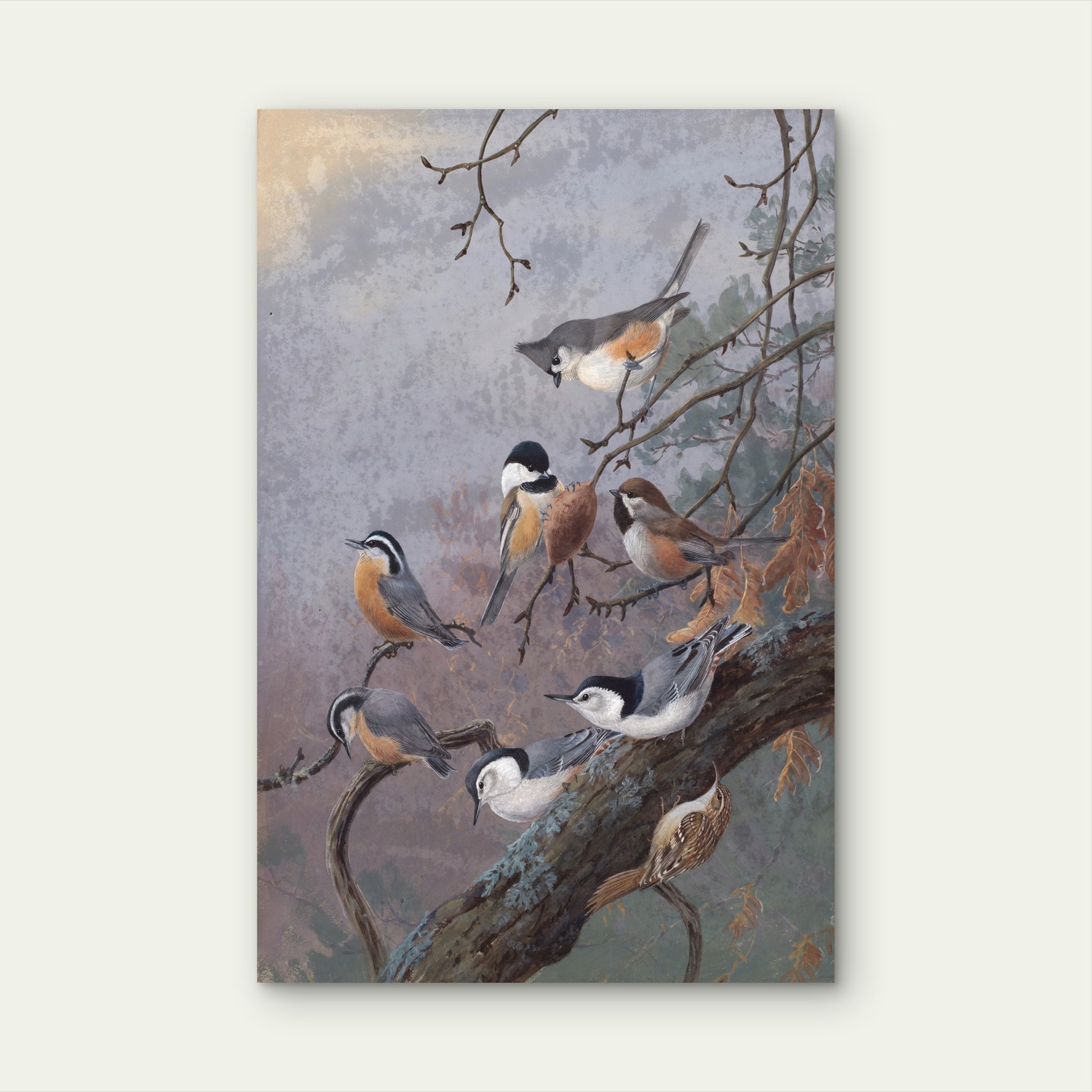 Winter Birds Wildlife Painting 40x60cm Metal Print Ready to Hang - Bella Home Decor
