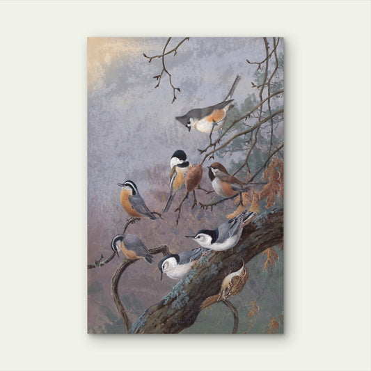 Winter Birds Wildlife Painting 40x60cm Metal Print Ready to Hang