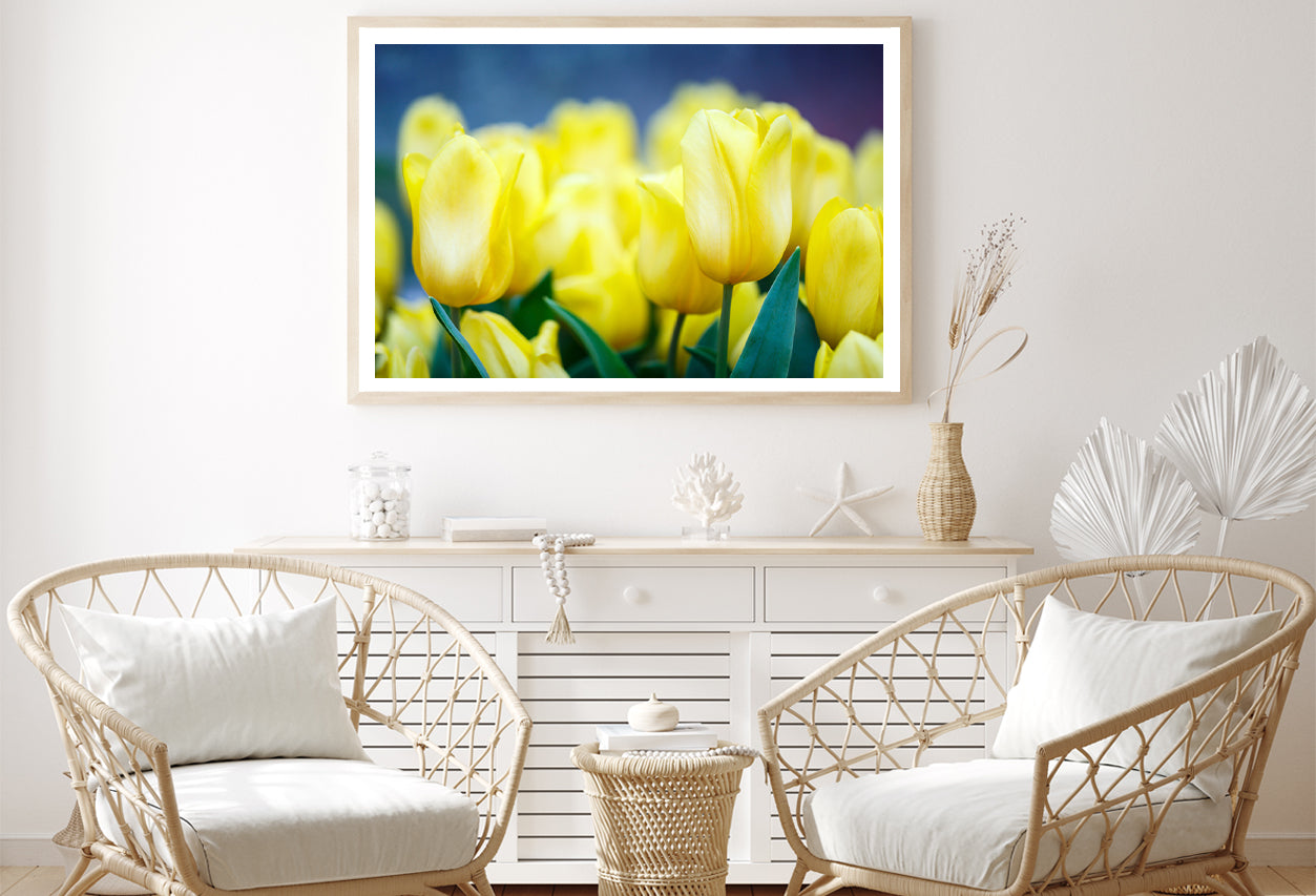 A Group of Yellow Flowers Known As Lady Tulips Home Decor Premium Quality Poster Print Choose Your Sizes