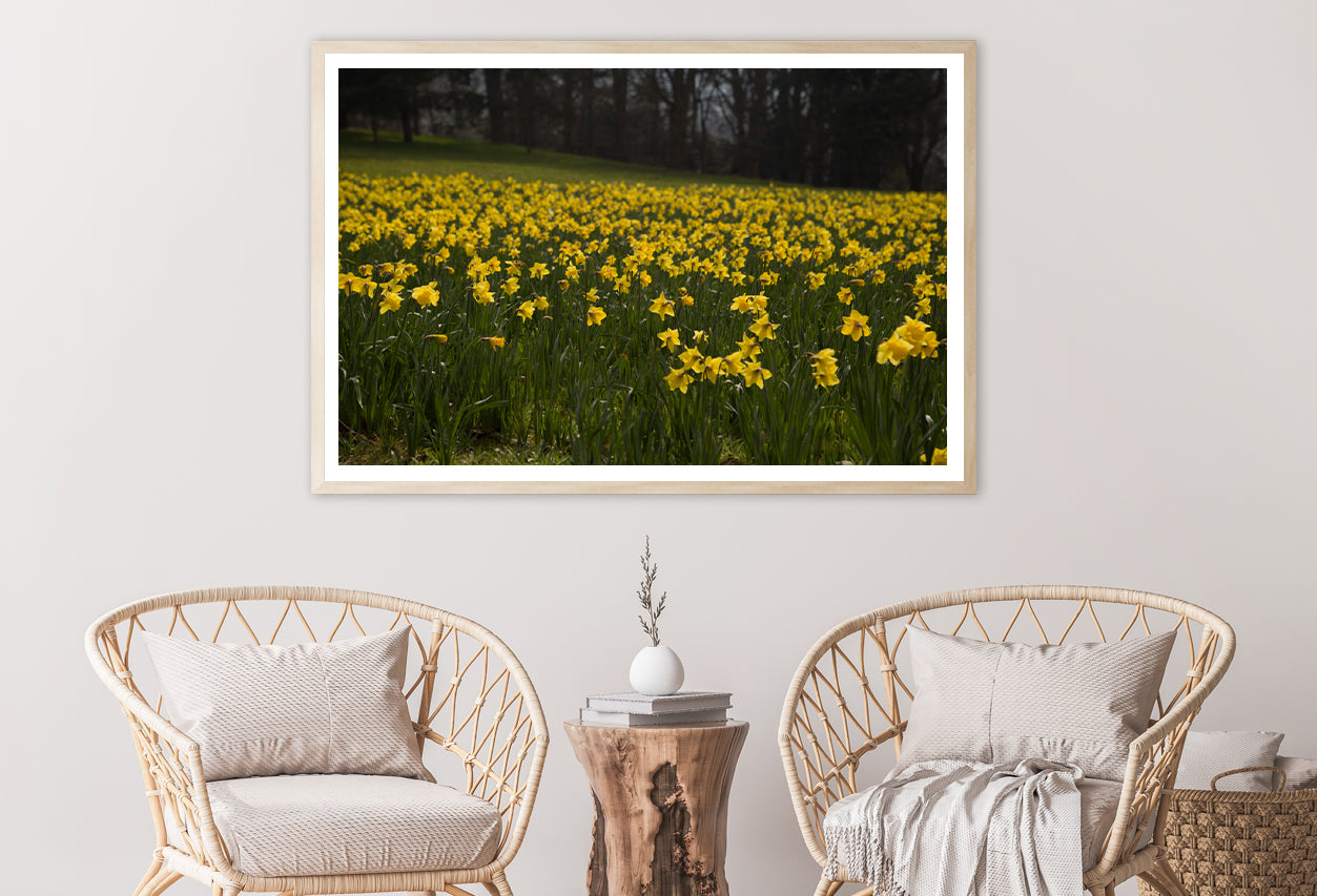 A Field Of Yellow Flowers in a Meadow during spring Home Decor Premium Quality Poster Print Choose Your Sizes