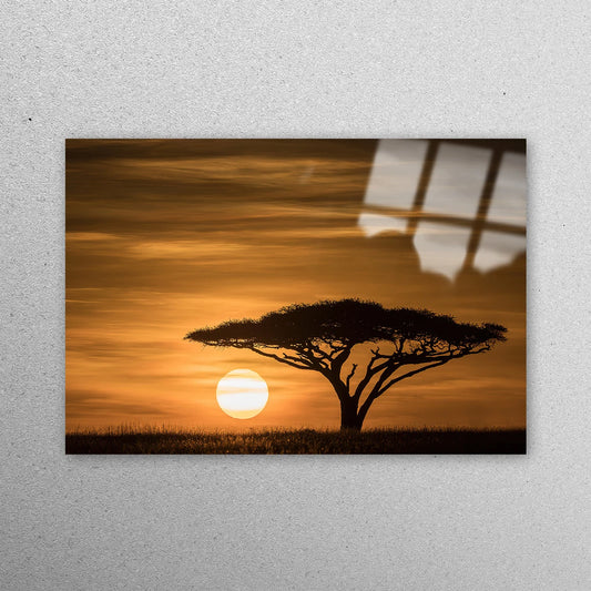 Serengeti Sunrise Acrylic Glass Print Tempered Glass Wall Art 100% Made in Australia Ready to Hang