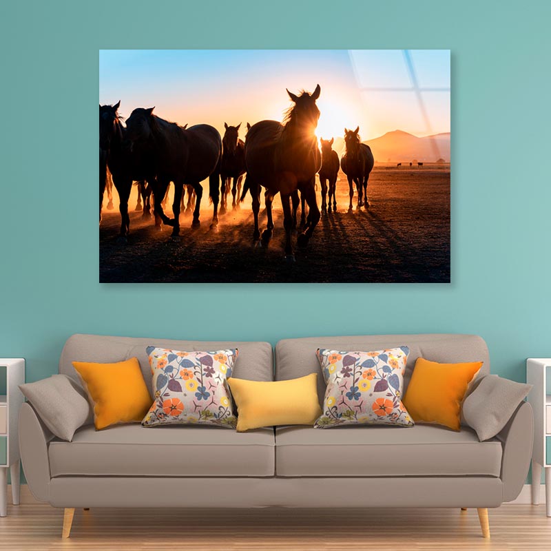 Horses Walking & Sunset Sky View Acrylic Glass Print Tempered Glass Wall Art 100% Made in Australia Ready to Hang