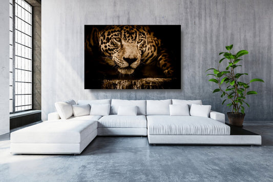 Cheetah Closeup Acrylic Glass Print Tempered Glass Wall Art 100% Made in Australia Ready to Hang