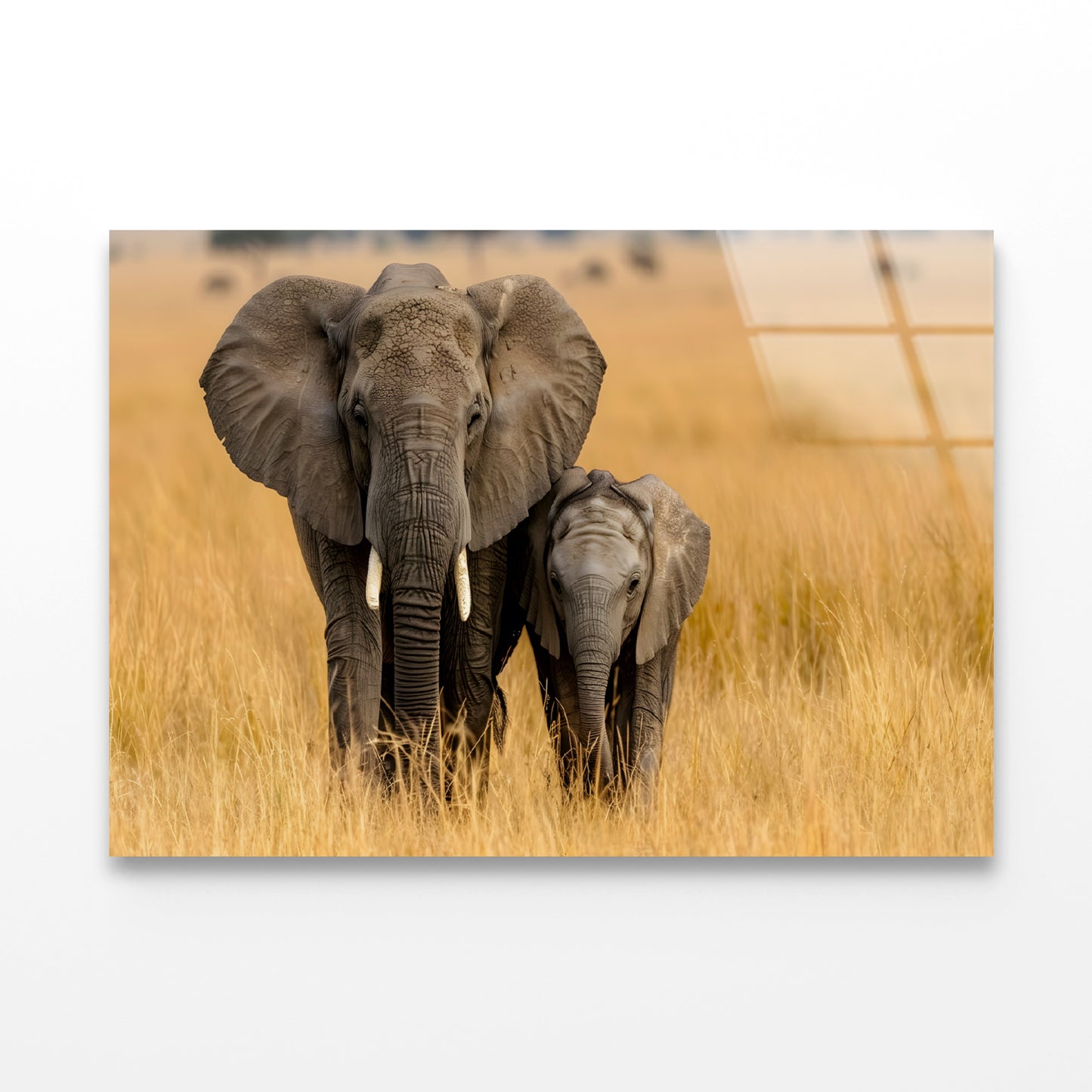 An Elephant and Its Calf Standing In a Grassland Acrylic Glass Print Tempered Glass Wall Art 100% Made in Australia Ready to Hang