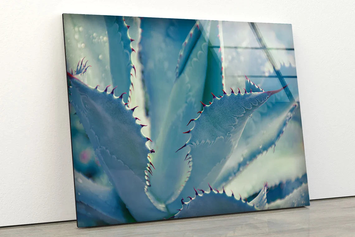 Blue Leaves with Spikes UV Direct Aluminum Print Australian Made Quality