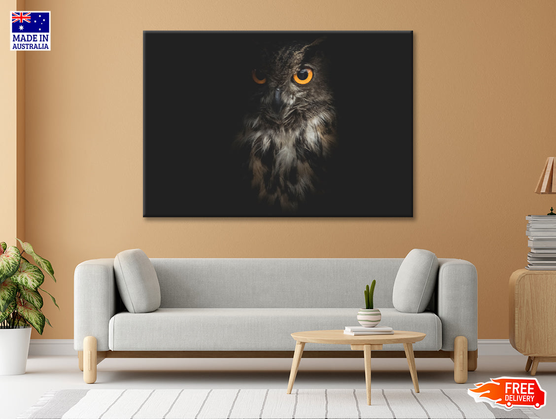 Eurasian Eagle - Owl with Black Print 100% Australian Made