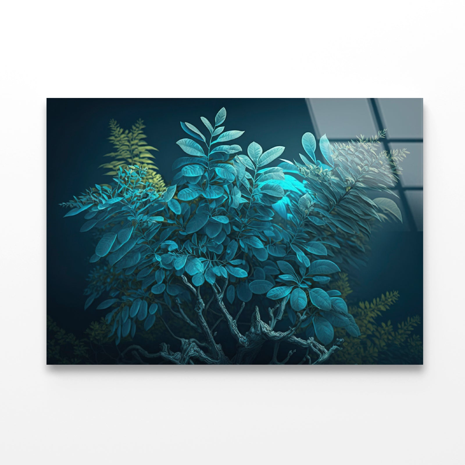 Reef and Various Underwater Organisms Acrylic Glass Print Tempered Glass Wall Art 100% Made in Australia Ready to Hang - Bella Home Decor