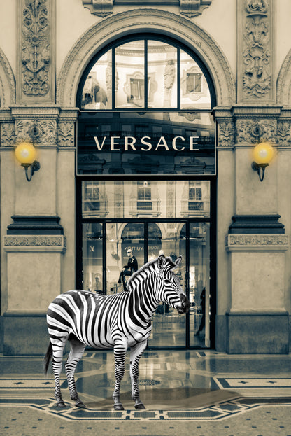 Luxury Fashion Store with Zebra Design Home Decor Premium Quality Poster Print Choose Your Sizes