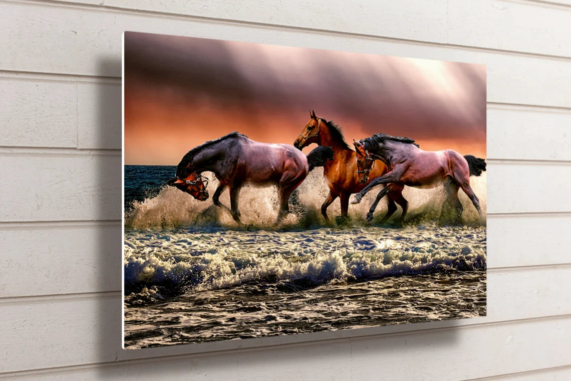 Horses In Ocean UV Direct Aluminum Print Australian Made Quality