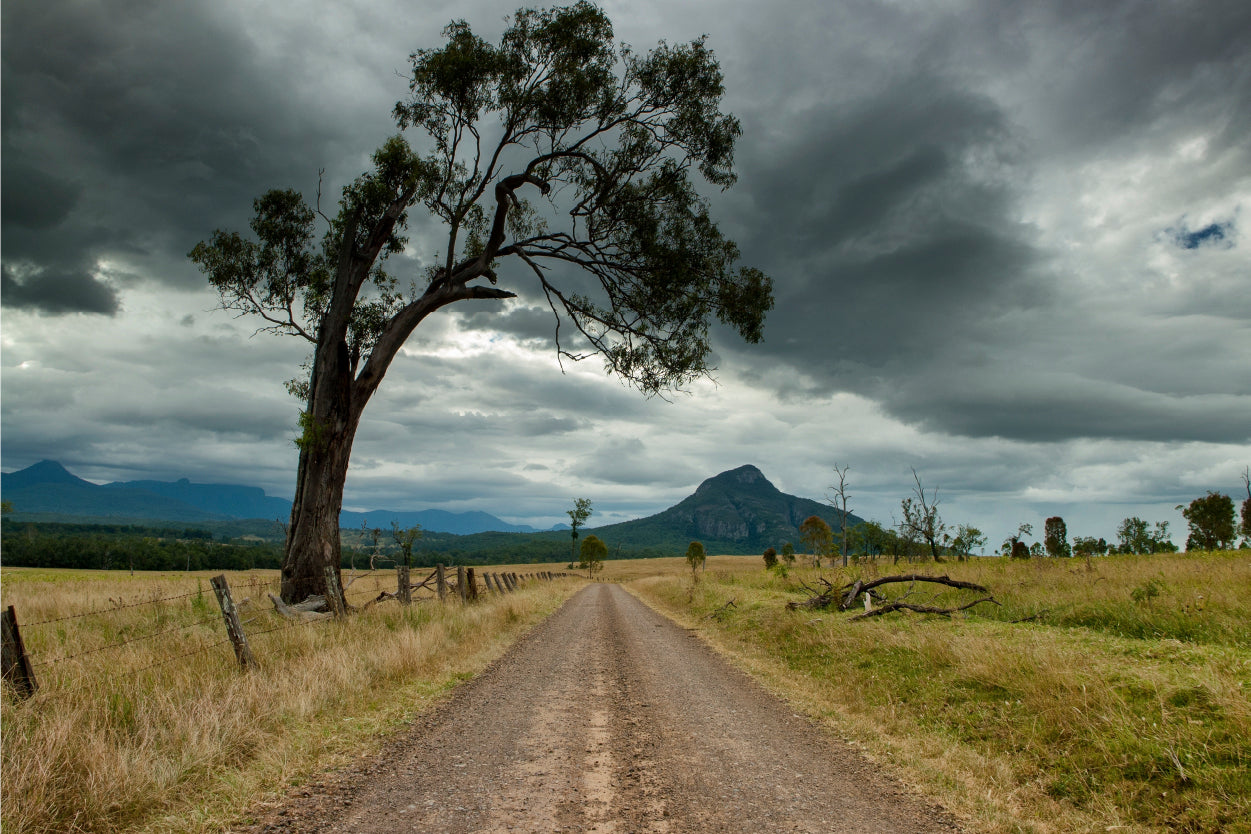Australian Countryside Stormy Field Wall Art Decor 100% Australian Made - Bella Home Decor