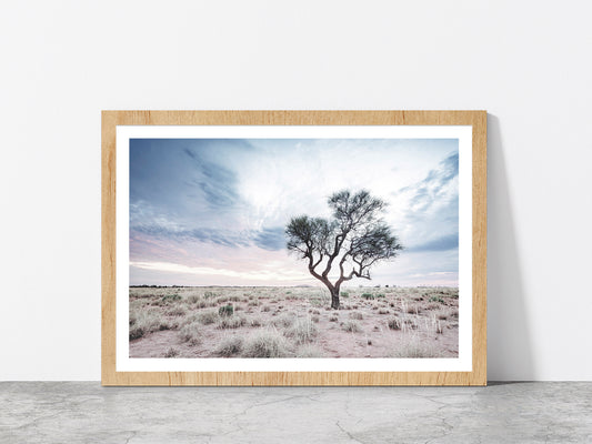 Dead Tree on Landscape & Cloudy Sky Photograph Glass Framed Wall Art, Ready to Hang Quality Print With White Border Oak