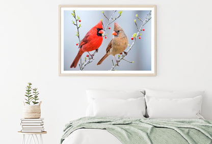 Red Bird or Northern Cardinal Mates Perched on Holly Branches Home Decor Premium Quality Poster Print Choose Your Sizes - Bella Home Decor