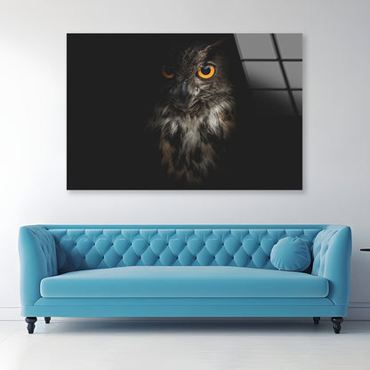 Eurasian Eagle - Owl with Black Acrylic Glass Print Tempered Glass Wall Art 100% Made in Australia Ready to Hang