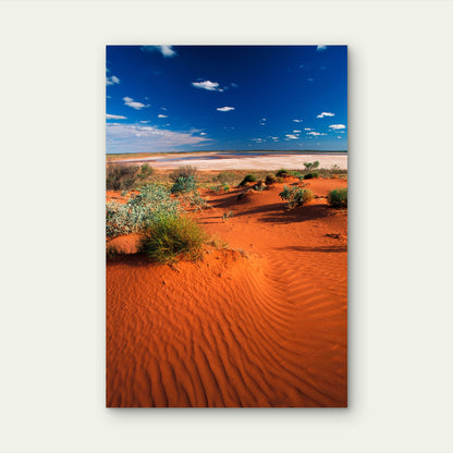 Simpson Desert Northern Territory Sand Dunes 40x60cm Metal Print Ready to Hang