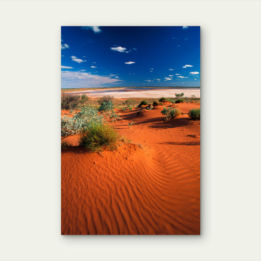Simpson Desert Northern Territory Sand Dunes 40x60cm Metal Print Ready to Hang