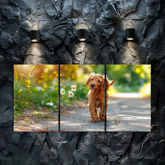 3pcs Adorable Cocker Spaniel Puppy in Nature Wall Art Set Canvas Framed 50x70cm - High Quality Print 100% Australian Made Wall Canvas Ready to Hang