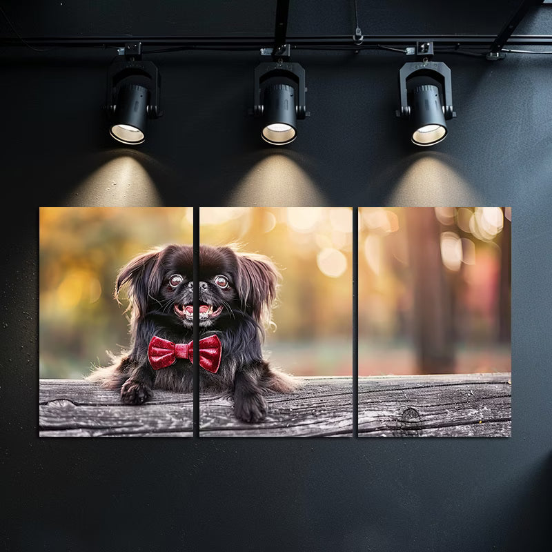 3pcs Cute Pekingese Dog Wearing A Red Velvet Bow Wall Art Set Canvas Framed 50x70cm - High Quality Print 100% Australian Made Wall Canvas Ready to Hang