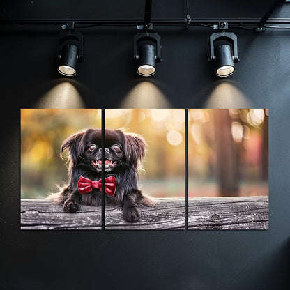 3pcs Cute Pekingese Dog Wearing A Red Velvet Bow Wall Art Set Canvas Framed 60x90cm - High Quality Print 100% Australian Made Wall Canvas Ready to Hang - Bella Home Decor