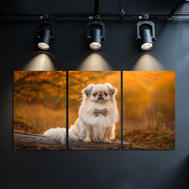 3pcs Pekingese Dog on Log Forest Scene Wall Art Set Canvas Framed 40x60cm - High Quality Print 100% Australian Made Wall Canvas Ready to Hang