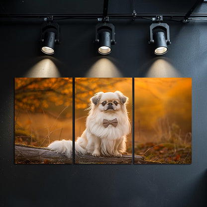 3pcs Pekingese Dog on Log Forest Scene Wall Art Set Canvas Framed 40x60cm - High Quality Print 100% Australian Made Wall Canvas Ready to Hang