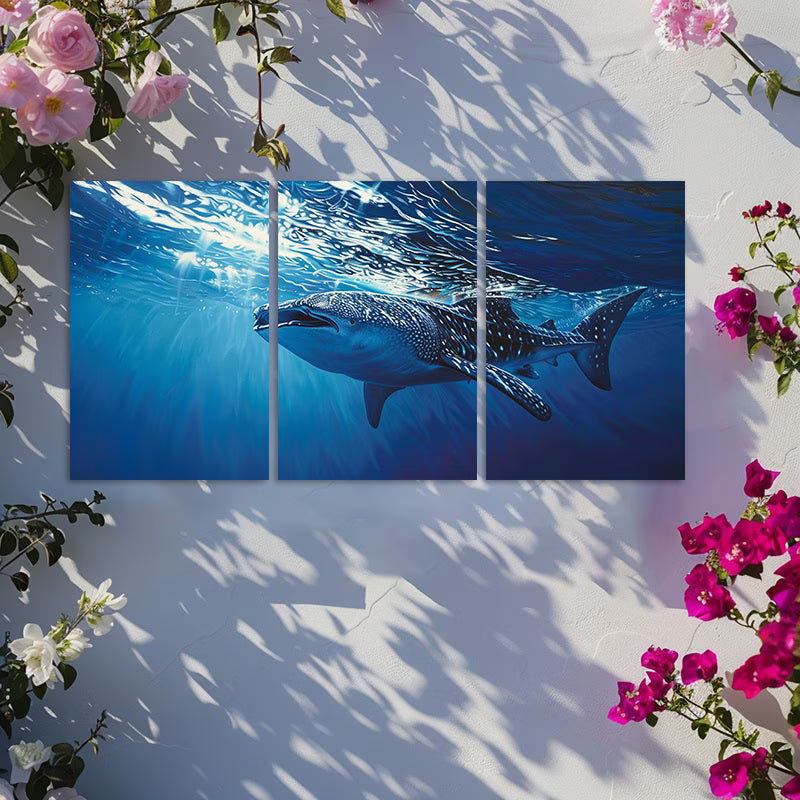 3pcs Whale Shark Gliding Through Deep Blue Ocean Wall Art Set Canvas Framed 60x90cm - High Quality Print 100% Australian Made Wall Canvas Ready to Hang