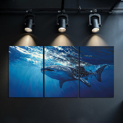 3pcs Whale Shark Gliding Through Deep Blue Ocean Wall Art Set Canvas Framed 60x90cm - High Quality Print 100% Australian Made Wall Canvas Ready to Hang
