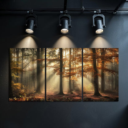 3pcs Misty Forest & Changing Leaves Wall Art Set Canvas Framed 50x70cm - High Quality Print 100% Australian Made Wall Canvas Ready to Hang