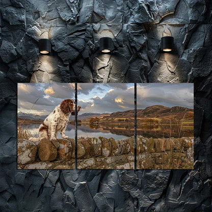3pcs Irish Springer Spaniel Dog Landscape Wall Art Set Canvas Framed 50x70cm - High Quality Print 100% Australian Made Wall Canvas Ready to Hang