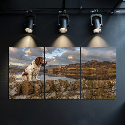 3pcs Irish Springer Spaniel Dog Landscape Wall Art Set Canvas Framed 50x70cm - High Quality Print 100% Australian Made Wall Canvas Ready to Hang