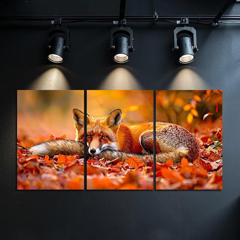 3pcs Charming Red Fox Autumn Scene Wall Art Set Canvas Framed 50x70cm - High Quality Print 100% Australian Made Wall Canvas Ready to Hang
