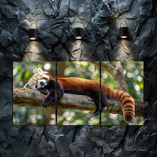 3pcs Red Panda Sleeping on The Branch of  a Tree Wall Art Set Canvas Framed 50x70cm - High Quality Print 100% Australian Made Wall Canvas Ready to Hang