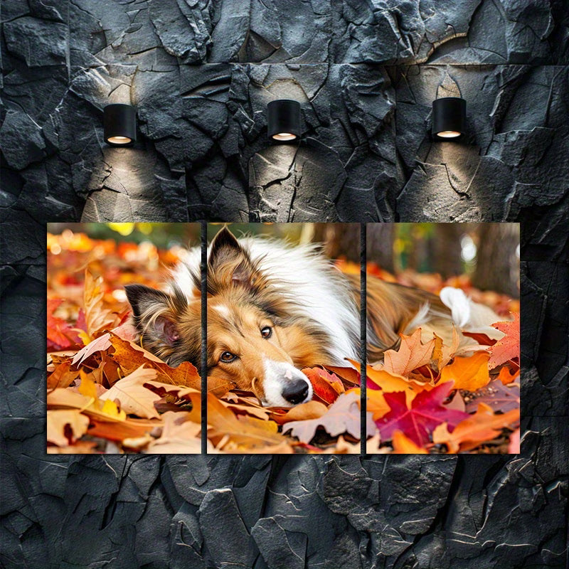 3pcs Shetland Sheepdog in Autumn Leaves Wall Art Set Canvas Framed 60x90cm - High Quality Print 100% Australian Made Wall Canvas Ready to Hang