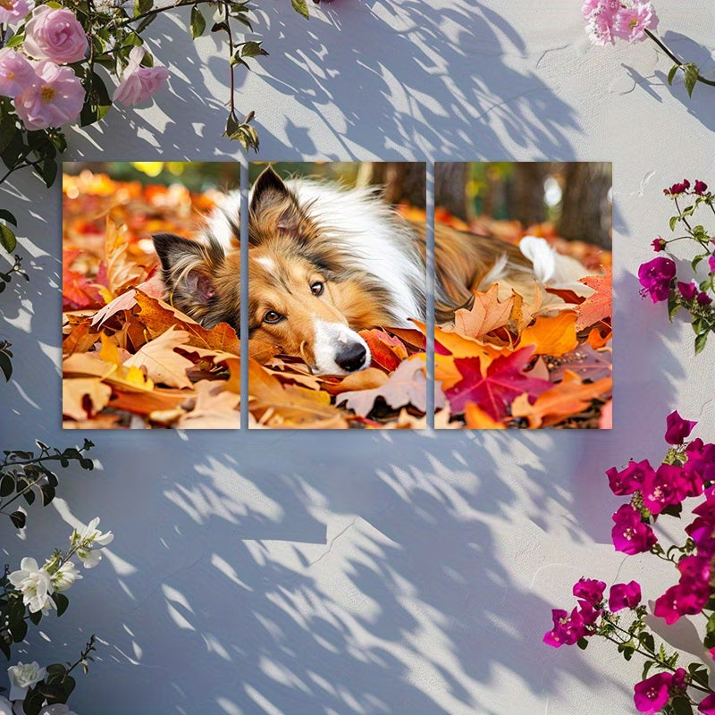 3pcs Shetland Sheepdog in Autumn Leaves Wall Art Set Canvas Framed 60x90cm - High Quality Print 100% Australian Made Wall Canvas Ready to Hang