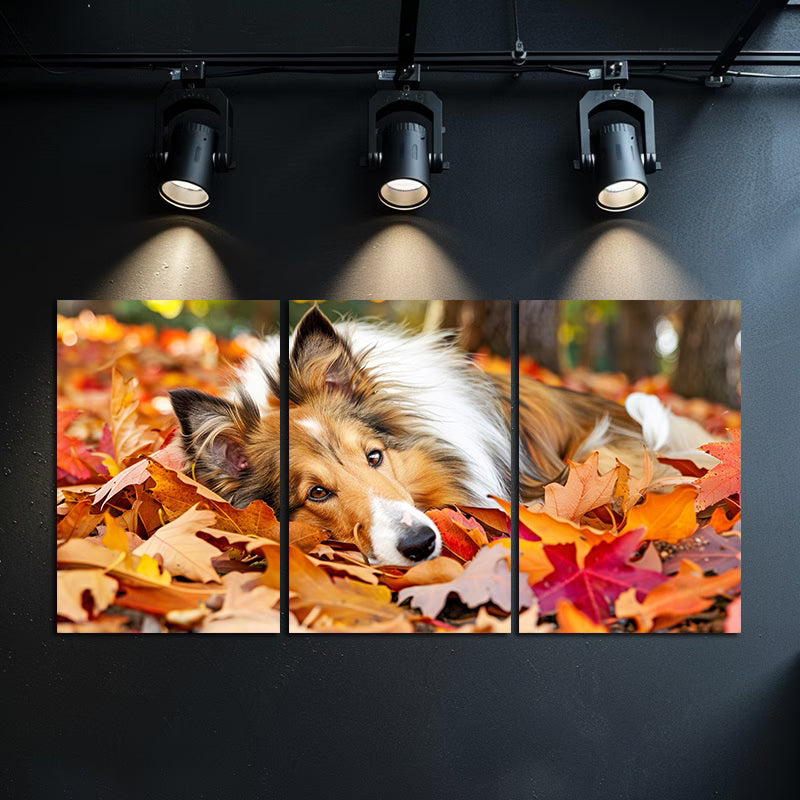 3pcs Shetland Sheepdog in Autumn Leaves Wall Art Set Canvas Framed 60x90cm - High Quality Print 100% Australian Made Wall Canvas Ready to Hang