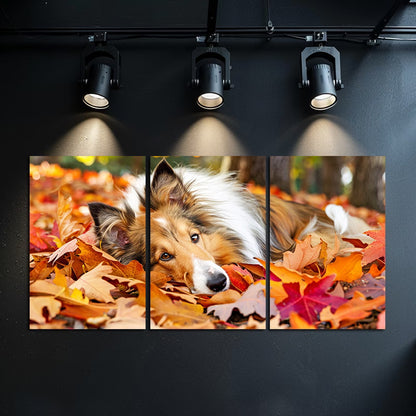 3pcs Shetland Sheepdog in Autumn Leaves Wall Art Set Canvas Framed 50x70cm - High Quality Print 100% Australian Made Wall Canvas Ready to Hang