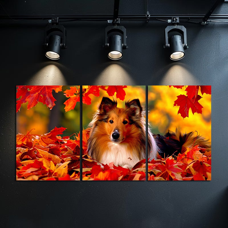3pcs Shetland Sheepdog Laying in Pile of Leaves Wall Art Set Canvas Framed 50x70cm - High Quality Print 100% Australian Made Wall Canvas Ready to Hang