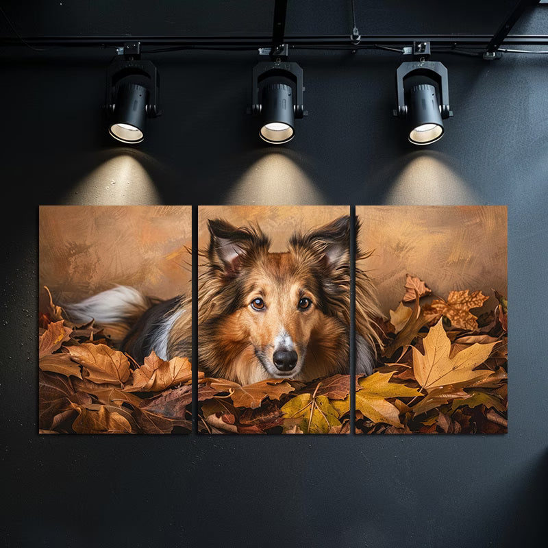3pcs Shetland Sheepdog & Autumn Leaves Wall Art Set Canvas Framed 40x60cm - High Quality Print 100% Australian Made Wall Canvas Ready to Hang
