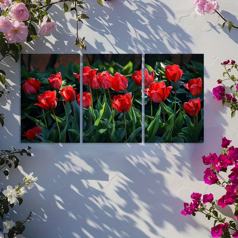 3pcs Vibrant Display of Red Tulips in Full Bloom Wall Art Set Canvas Framed 40x60cm - High Quality Print 100% Australian Made Wall Canvas Ready to Hang