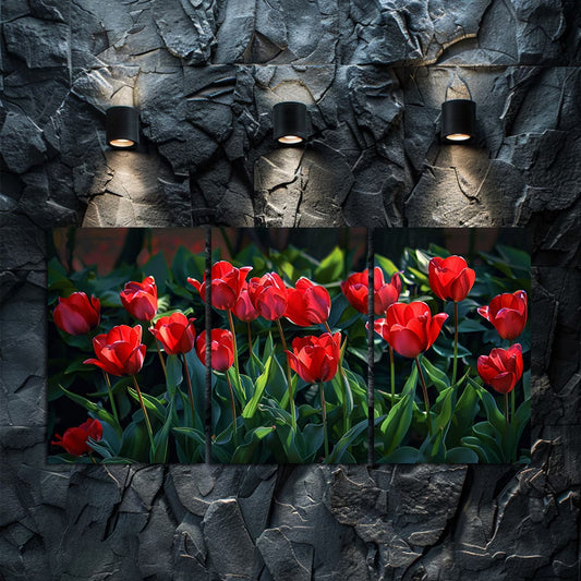 3pcs Vibrant Display of Red Tulips in Full Bloom Wall Art Set Canvas Framed 50x70cm - High Quality Print 100% Australian Made Wall Canvas Ready to Hang
