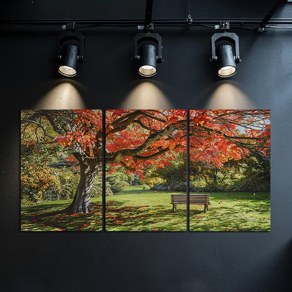 3pcs Vibrant Autumn Red Maple Tree Wall Art Set Canvas Framed 40x60cm - High Quality Print 100% Australian Made Wall Canvas Ready to Hang
