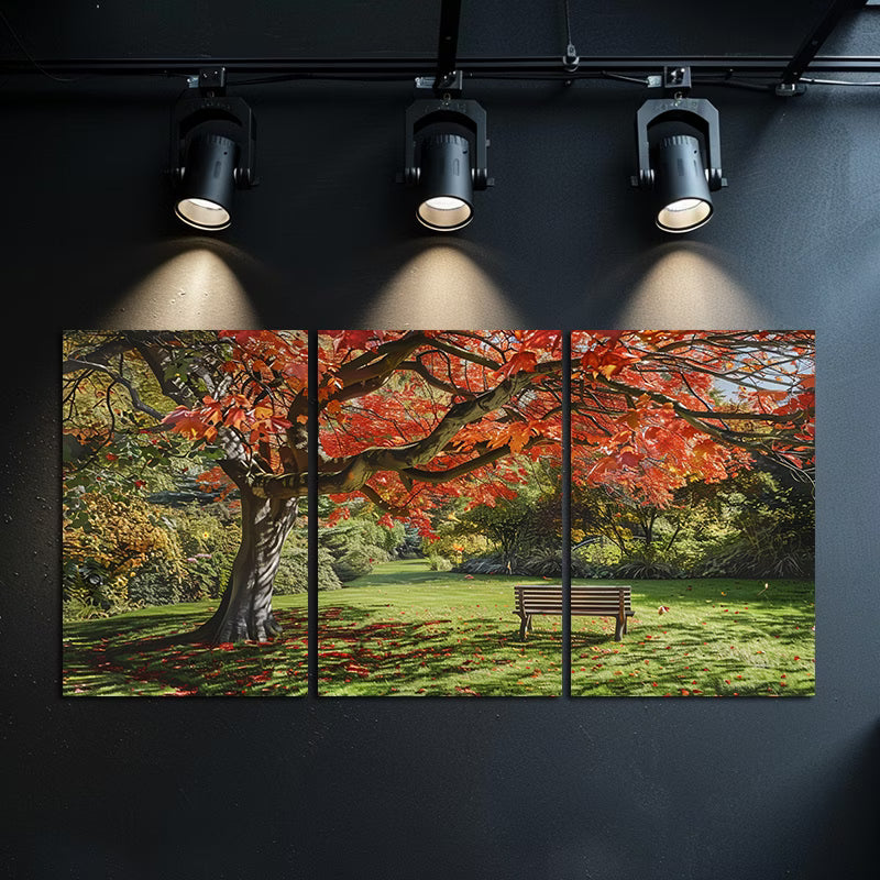 3pcs Vibrant Autumn Red Maple Tree Wall Art Set Canvas Framed 50x70cm - High Quality Print 100% Australian Made Wall Canvas Ready to Hang