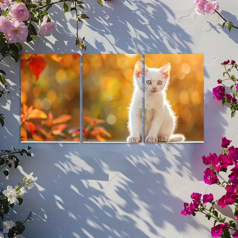 3pcs Charming White Kitten with Blue Eyes Wall Art Set Canvas Framed 60x90cm - High Quality Print 100% Australian Made Wall Canvas Ready to Hang