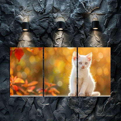 3pcs Charming White Kitten with Blue Eyes Wall Art Set Canvas Framed 60x90cm - High Quality Print 100% Australian Made Wall Canvas Ready to Hang
