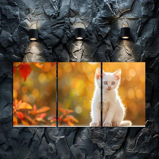 3pcs Charming White Kitten with Blue Eyes Wall Art Set Canvas Framed 60x90cm - High Quality Print 100% Australian Made Wall Canvas Ready to Hang