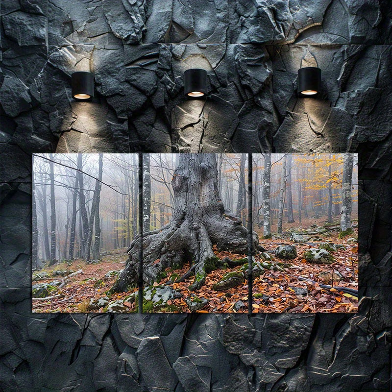 3pcs Old Gnarled Tree in Autumn Forest Wall Art Set Canvas Framed 60x90cm - High Quality Print 100% Australian Made Wall Canvas Ready to Hang