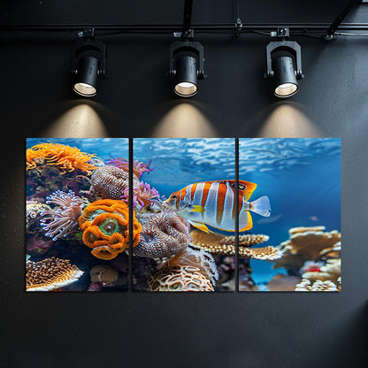 3pcs Vibrant Tropical Fish & Butterflyfish Wall Art Set Canvas Framed 40x60cm - High Quality Print 100% Australian Made Wall Canvas Ready to Hang