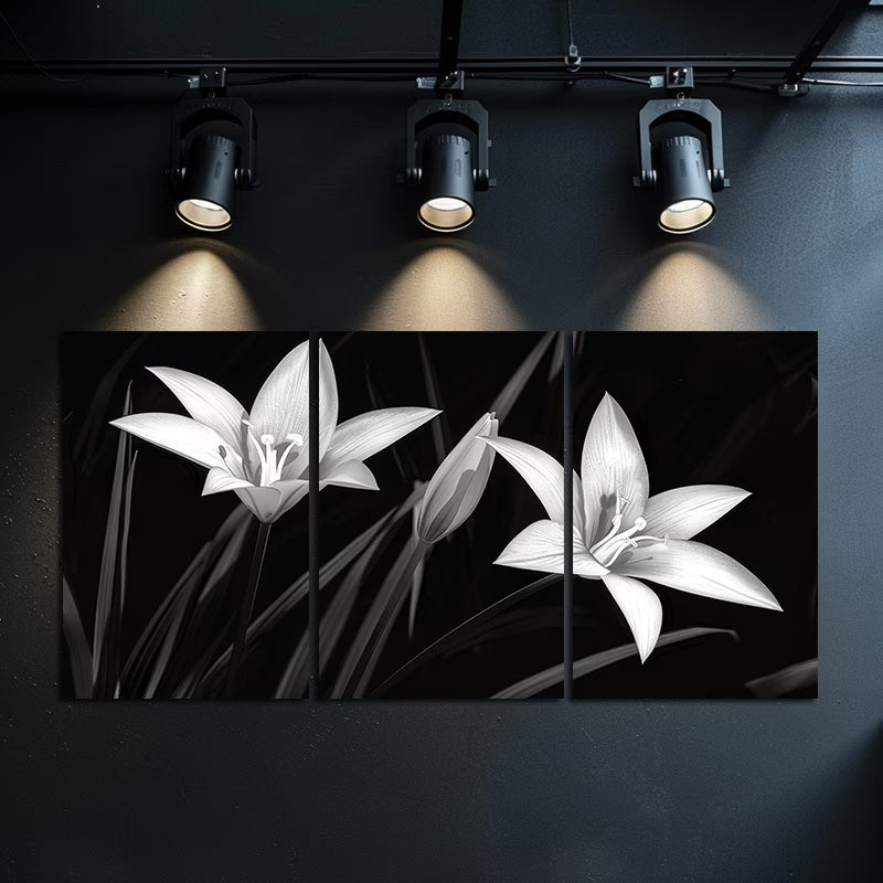 3pcs Night Lilies in Black and White Wall Art Set Canvas Framed 40x60cm - High Quality Print 100% Australian Made Wall Canvas Ready to Hang