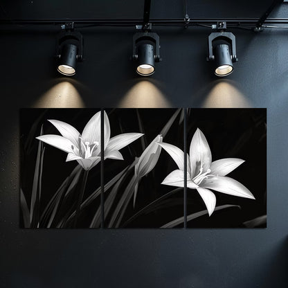 3pcs Night Lilies in Black and White Wall Art Set Canvas Framed 40x60cm - High Quality Print 100% Australian Made Wall Canvas Ready to Hang